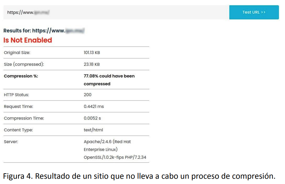 Resultado de un sitio que no lleva a cabo un proceso de compresión.
